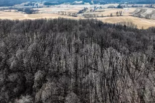 E17497 Gross Valley Ln, Hillsboro, WI 54634 - Photo 7