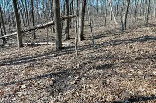 E17497 Gross Valley Ln, Hillsboro, WI 54634 - Photo 31