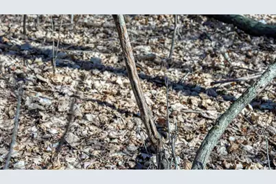 E17497 Gross Valley Lane, Hillsboro, WI 54634 - Photo 41