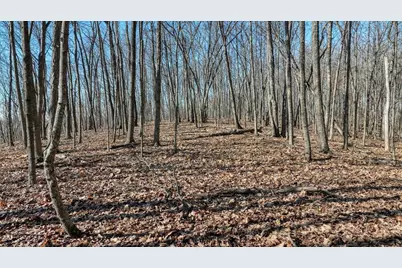 E17497 Gross Valley Lane, Hillsboro, WI 54634 - Photo 47