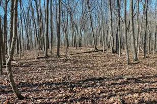 E17497 Gross Valley Ln, Hillsboro, WI 54634 - Photo 47