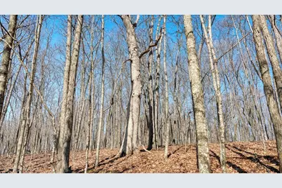 E17497 Gross Valley Lane, Hillsboro, WI 54634 - Photo 27