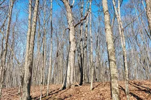 E17497 Gross Valley Ln, Hillsboro, WI 54634 - Photo 27