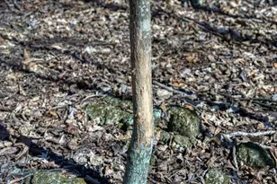 E17497 Gross Valley Ln, Hillsboro, WI 54634 - Photo 49