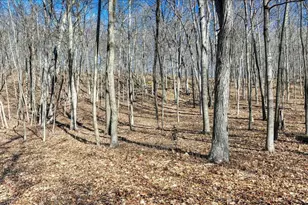 E17497 Gross Valley Ln, Hillsboro, WI 54634 - Photo 45