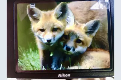 E7748 Mill Road, Spring Green, WI 53588 - Photo 75