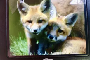 E7748 Mill Rd, Spring Green, WI 53588 - Photo 75