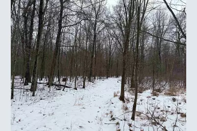 W6881 12th Street, Necedah, WI 54646 - Photo 19