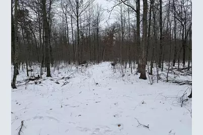 W6881 12th Street, Necedah, WI 54646 - Photo 25