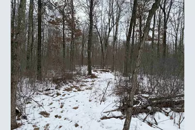 W6881 12th Street, Necedah, WI 54646 - Photo 9