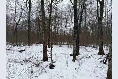 W6881 12th Street, Necedah, WI 54646 - Photo 23