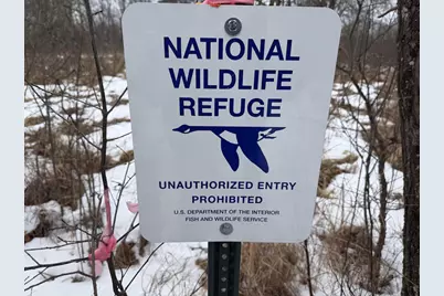 W6881 12th Street, Necedah, WI 54646 - Photo 41