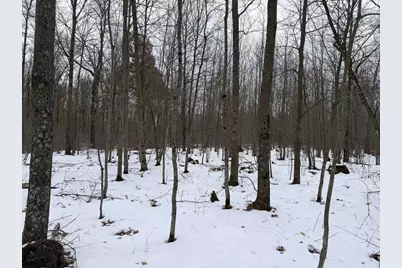 W6881 12th Street, Necedah, WI 54646 - Photo 11