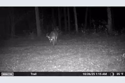 W6881 12th Street, Necedah, WI 54646 - Photo 43