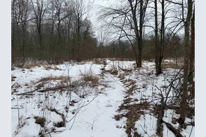 W6881 12th Street, Necedah, WI 54646 - Photo 17