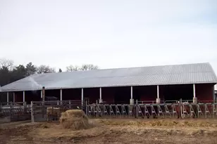 N6702 12th Rd, Montello, WI 53949 - Photo 5