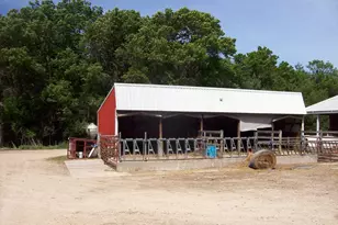N6702 12th Rd, Montello, WI 53949 - Photo 25