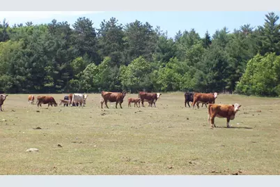 N6702 12th Road, Montello, WI 53949 - Photo 23