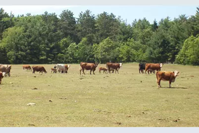 N6702 12th Road, Montello, WI 53949 - Photo 21