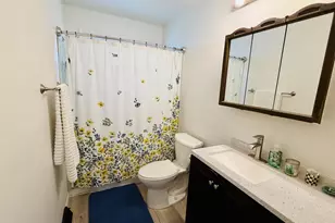 1009 30th Ave, Monroe, WI 53566 - Photo 29