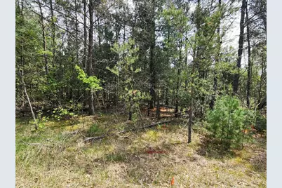 Lot 303 Cypress Drive, Arkdale, WI 54613 - Photo 13