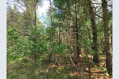 Lot 303 Cypress Drive, Arkdale, WI 54613 - Photo 3