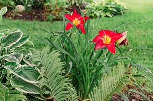 5597 Nutone St, Fitchburg, WI 53711 - Photo 57