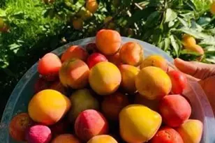 60439 Fairway Ct, Prairie Du Chien, WI 53821 - Photo 43