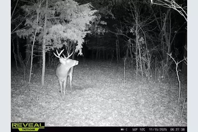 342 Dyke Avenue, Grand Marsh, WI 53936 - Photo 85