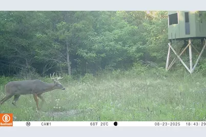 342 Dyke Avenue, Grand Marsh, WI 53936 - Photo 77