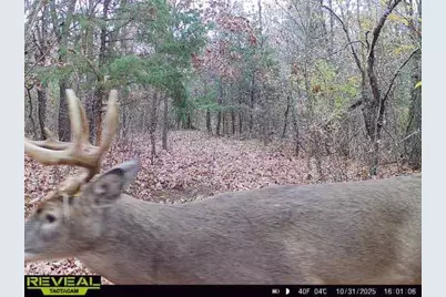 342 Dyke Avenue, Grand Marsh, WI 53936 - Photo 87