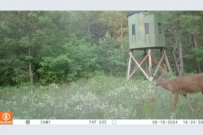 342 Dyke Avenue, Grand Marsh, WI 53936 - Photo 67