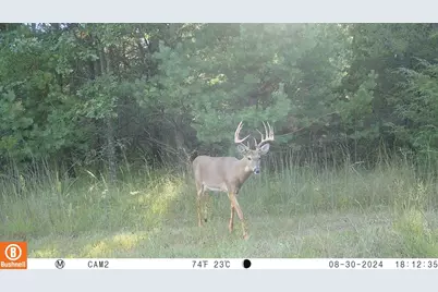 342 Dyke Avenue, Grand Marsh, WI 53936 - Photo 3