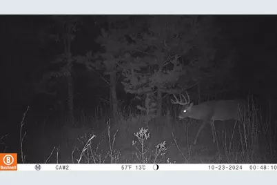 342 Dyke Avenue, Grand Marsh, WI 53936 - Photo 65