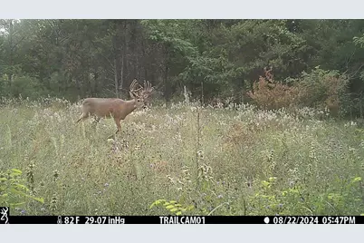 342 Dyke Avenue, Grand Marsh, WI 53936 - Photo 57