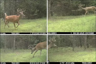 342 Dyke Avenue, Grand Marsh, WI 53936 - Photo 33