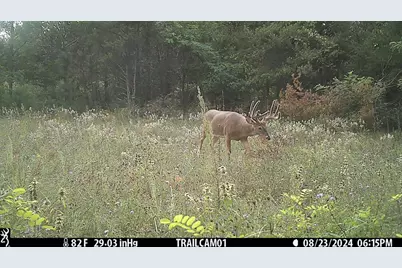 342 Dyke Avenue, Grand Marsh, WI 53936 - Photo 43