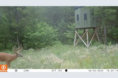 342 Dyke Avenue, Grand Marsh, WI 53936 - Photo 53