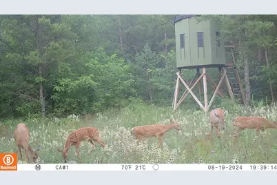 342 Dyke Avenue, Grand Marsh, WI 53936 - Photo 59