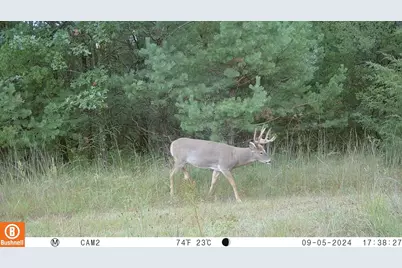 342 Dyke Avenue, Grand Marsh, WI 53936 - Photo 61