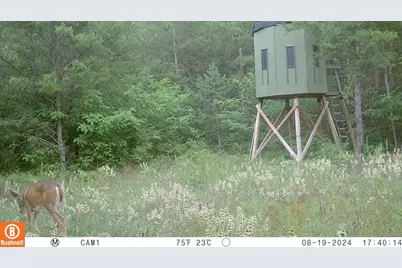 342 Dyke Avenue, Grand Marsh, WI 53936 - Photo 69