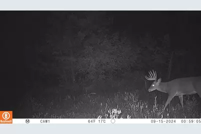 342 Dyke Avenue, Grand Marsh, WI 53936 - Photo 71