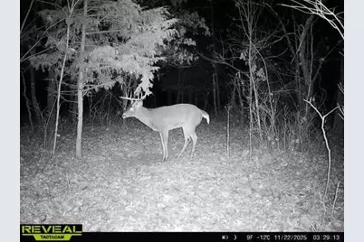 342 Dyke Avenue, Grand Marsh, WI 53936 - Photo 83