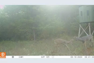 342 Dyke Avenue, Grand Marsh, WI 53936 - Photo 73