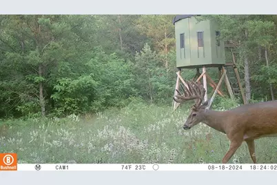 342 Dyke Avenue, Grand Marsh, WI 53936 - Photo 51