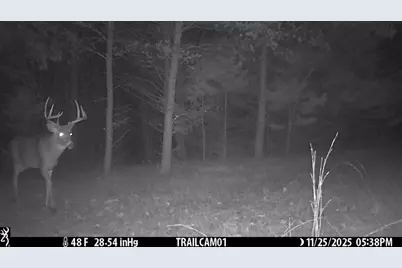 342 Dyke Avenue, Grand Marsh, WI 53936 - Photo 35