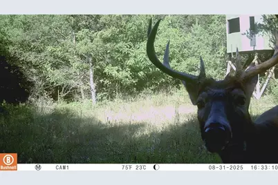 342 Dyke Avenue, Grand Marsh, WI 53936 - Photo 79