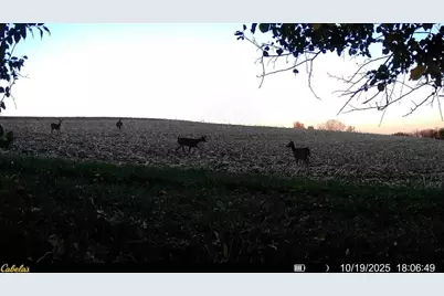 0000 Vineyard Road, Prairie Du Chien, WI 53821 - Photo 33