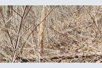 0000 Vineyard Road, Prairie Du Chien, WI 53821 - Photo 15