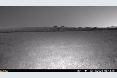 0000 Vineyard Road, Prairie Du Chien, WI 53821 - Photo 45